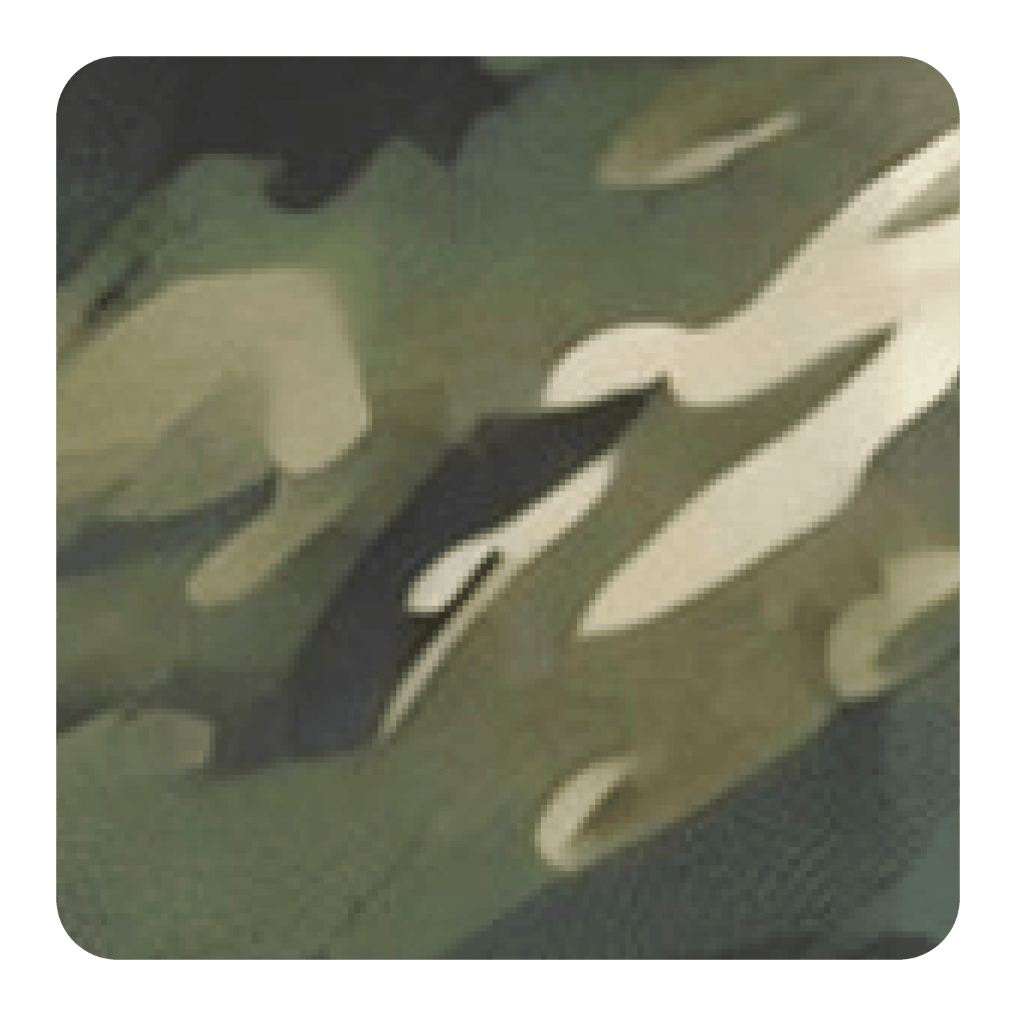 Checkered Camo