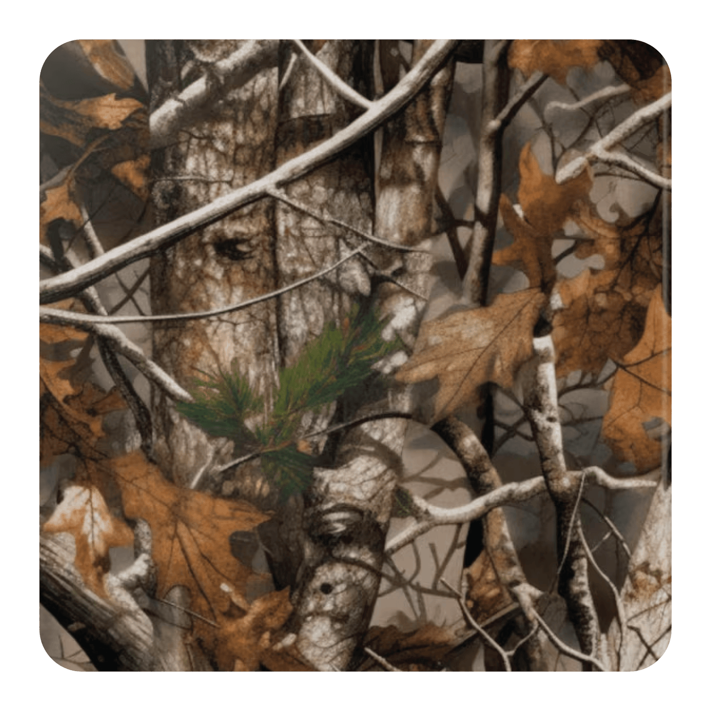 Oakridge Shroud